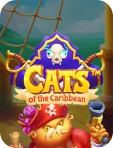 Cats of the Caribbean