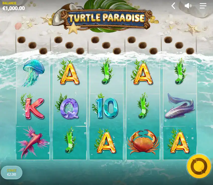 Turtle Paradise