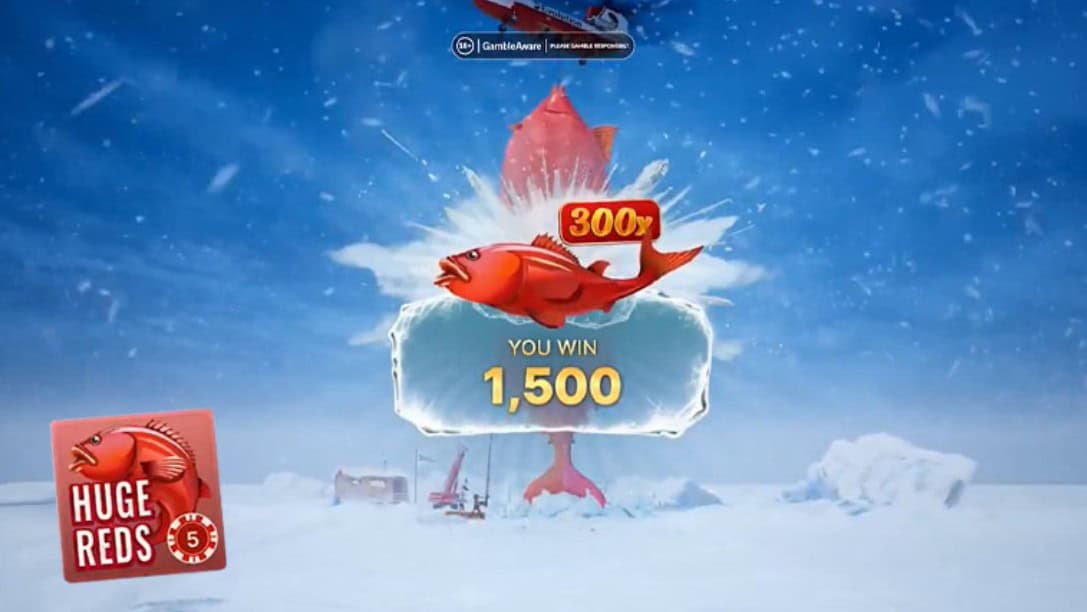 Ice Fishing Live Review