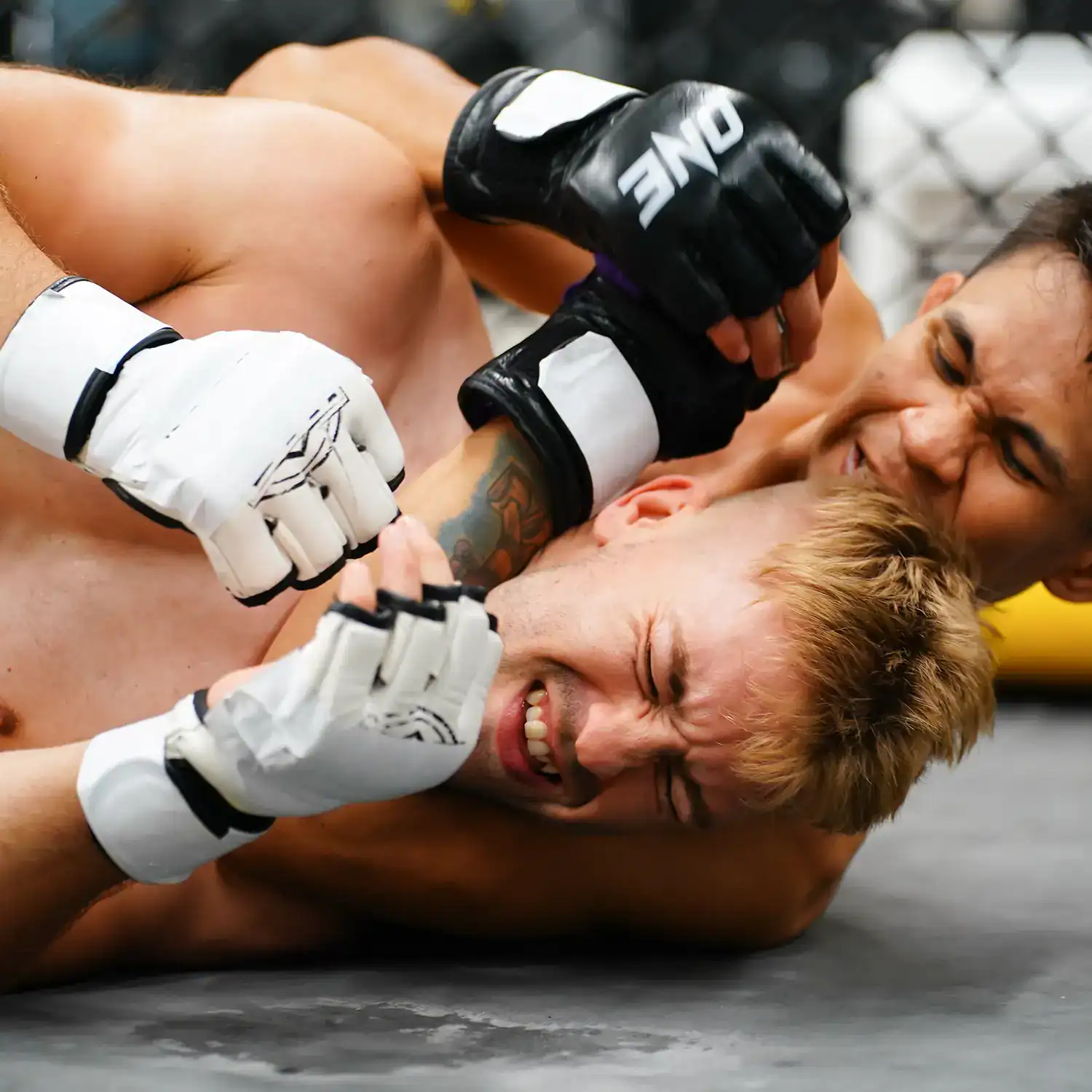 MMA and UFC image of two people wrestling