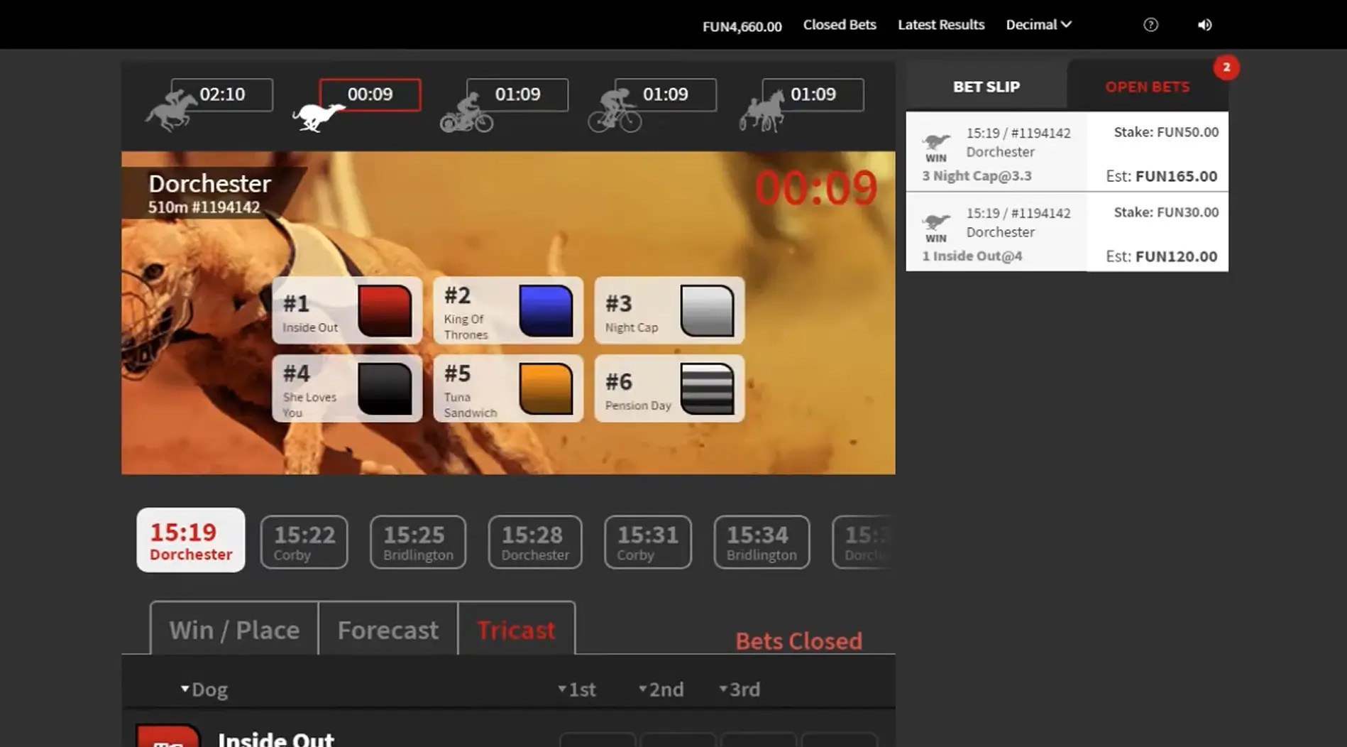 Virtual Greyhounds Game