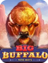 Big Buffalo