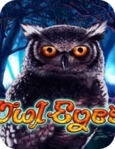 Owl Eyes