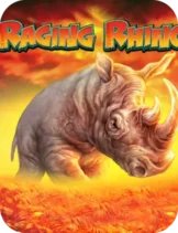 Raging Rhino