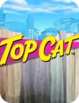 Top Cat