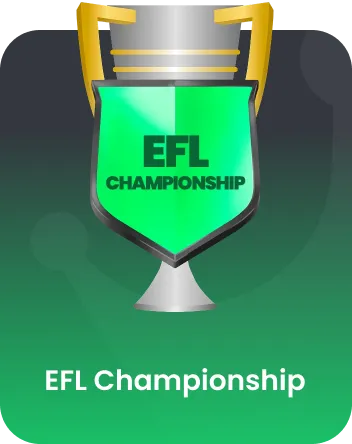 EFL Championship trophy boxed
