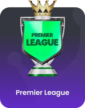 Premier League trophy boxed