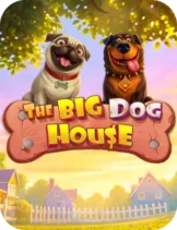 The Big Dog House