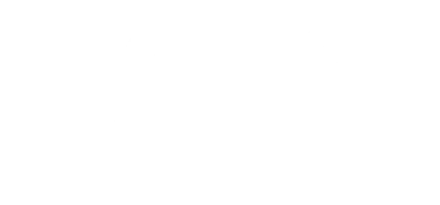 Light & Wonder